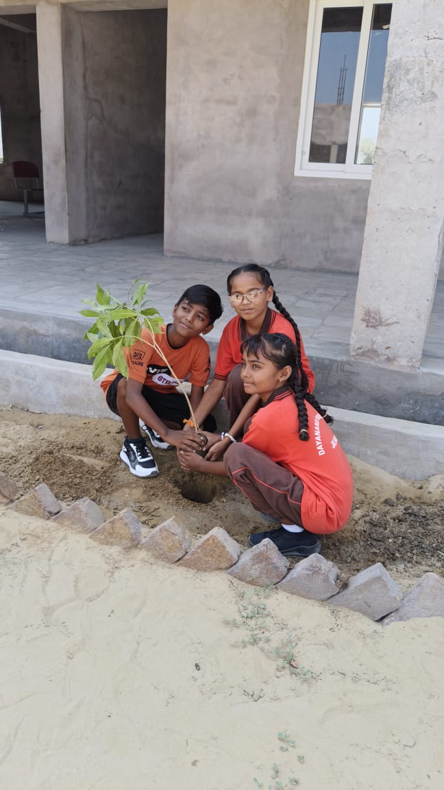 PLANTATION IN THE SCHOOL PREMISES - Image 7